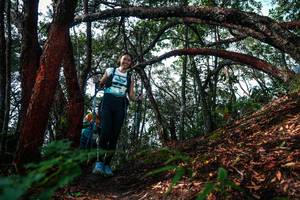 BIB: 
                            <button type="button" onclick="openModal(26346083)" class="btn btn-primary btn-sm float-right btn-popup" data-toggle="modal" data-target=".modal-high-quality">
                        <i class="fas fa-shopping-cart"></i> Add to Cart
                    </button>
                                            <button type="button" onclick="isThisMe(26346083, true)" class="btn btn-success btn-sm float-right btn-popup btn-isme hidden" data-toggle="tooltip" data-placement="bottom" title="นี่คือรูปของคุณใช่ไหม คลิกที่นี่เพื่อเอาเข้าอัลบั้ม">
                        <i class="fas fa-plus"></i> Add to album
                    </button>
                    <button type="button" onclick="isThisMe(26346083, false)" class="btn btn-warning btn-sm float-right btn-popup btn-isnotme hidden">
                        <i class="fas fa-ban"></i> Remove from album
                    </button>